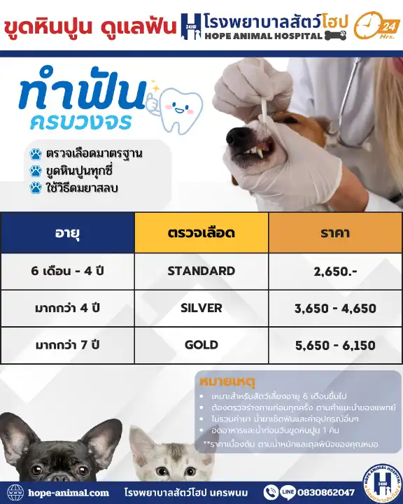 ขูดหินปูนสัตว์เลี้ยง